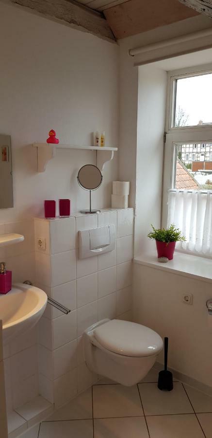 Wipperaublick In Der Oldenstaedter Wassermuehle Uelzen Dış mekan fotoğraf